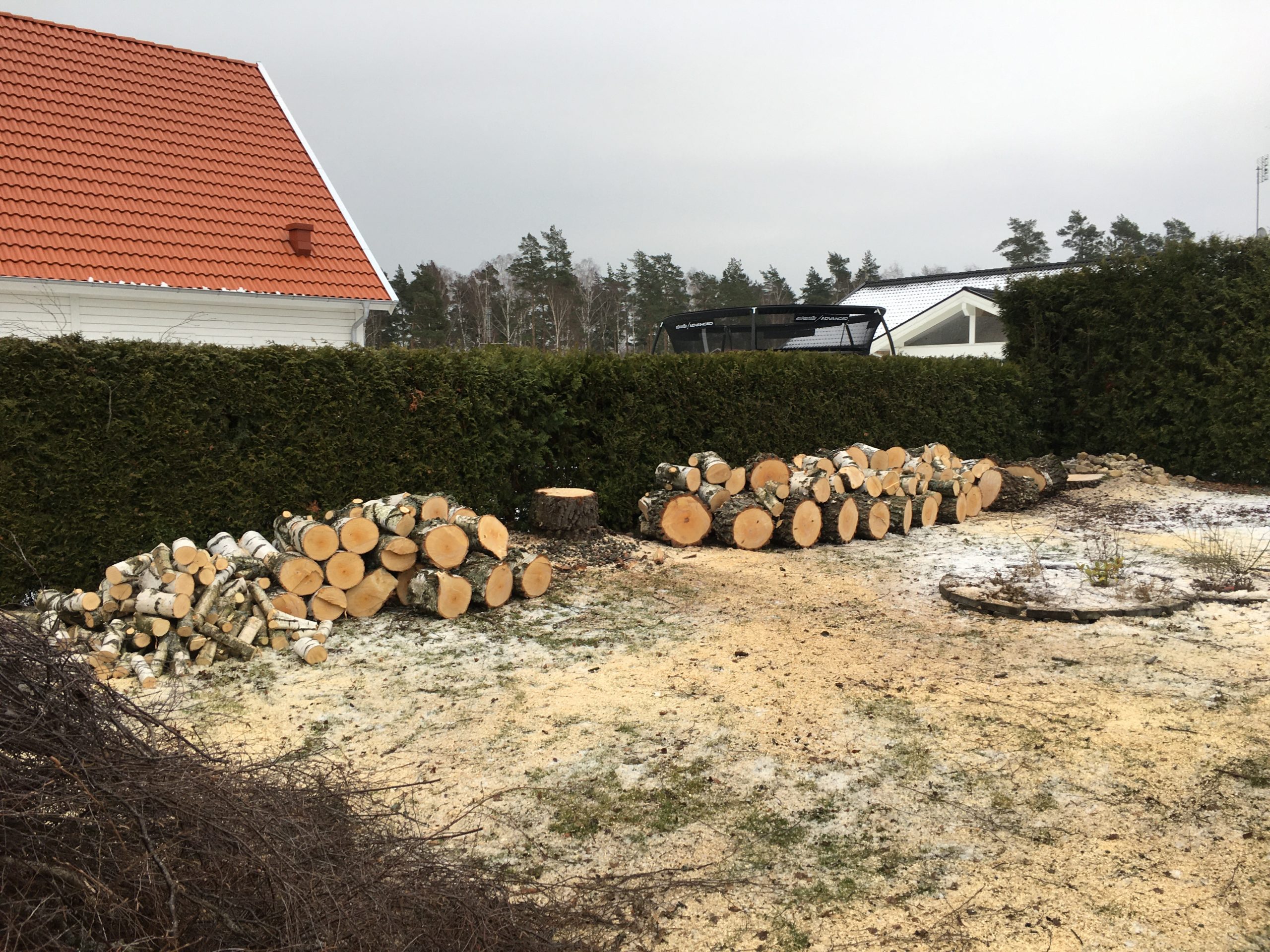 Trädfällning, beskärning, häckklippning, plantering, trädgårdsskötsel med mera • Arborist i Skåne Trädfällning, beskärning, häckklippning, plantering, trädgårdsskötsel med mera • Arborist i Skåne