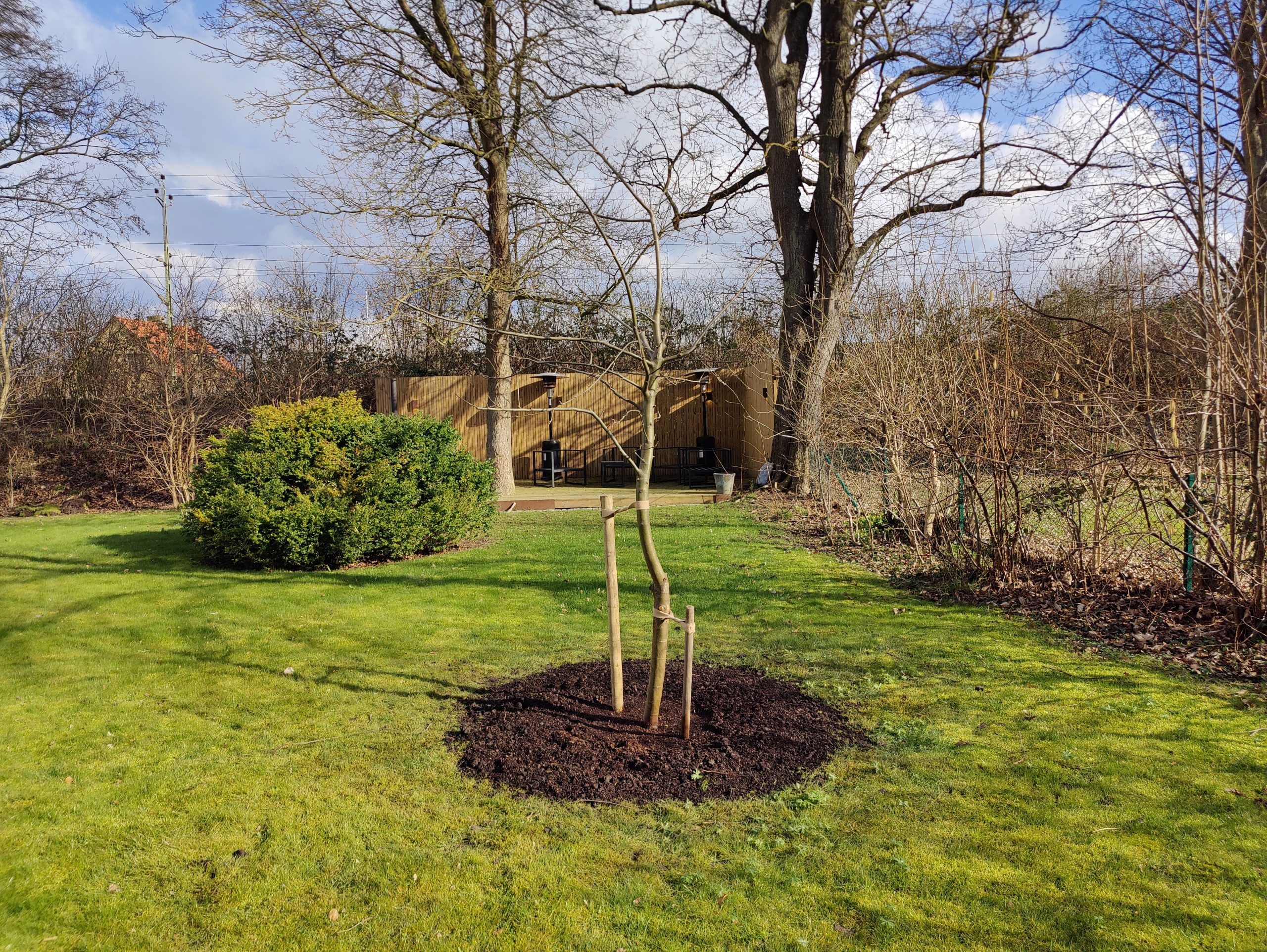 Trädfällning, beskärning, häckklippning, plantering, trädgårdsskötsel med mera • Arborist i Skåne Trädfällning, beskärning, häckklippning, plantering, trädgårdsskötsel med mera • Arborist i Skåne
