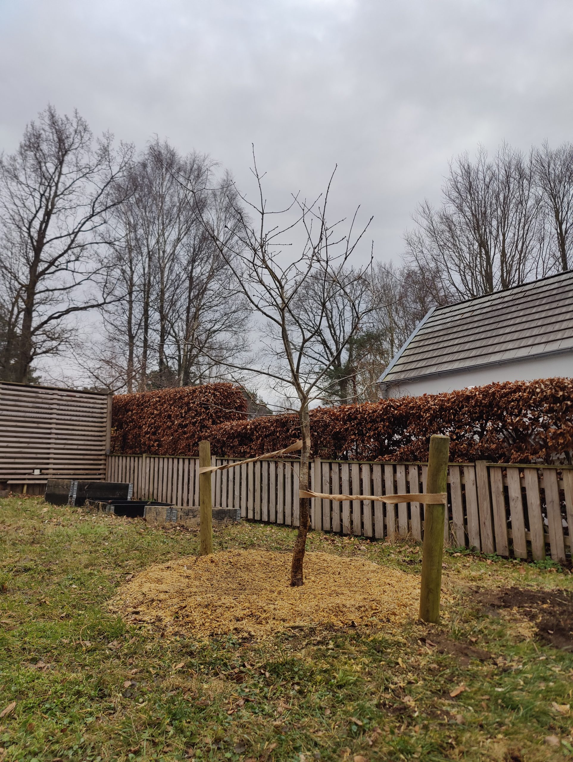 Trädfällning, beskärning, häckklippning, plantering, trädgårdsskötsel med mera • Arborist i Skåne Trädfällning, beskärning, häckklippning, plantering, trädgårdsskötsel med mera • Arborist i Skåne