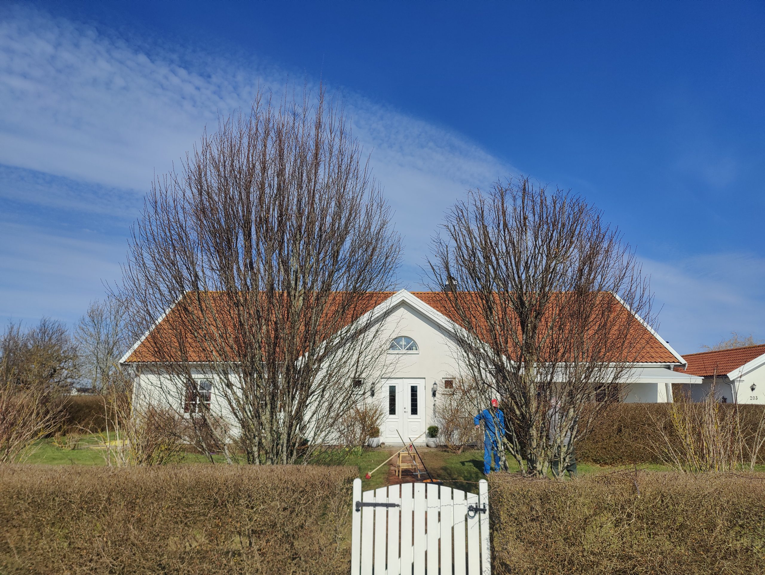 Trädfällning, beskärning, häckklippning, plantering, trädgårdsskötsel med mera • Arborist i Skåne