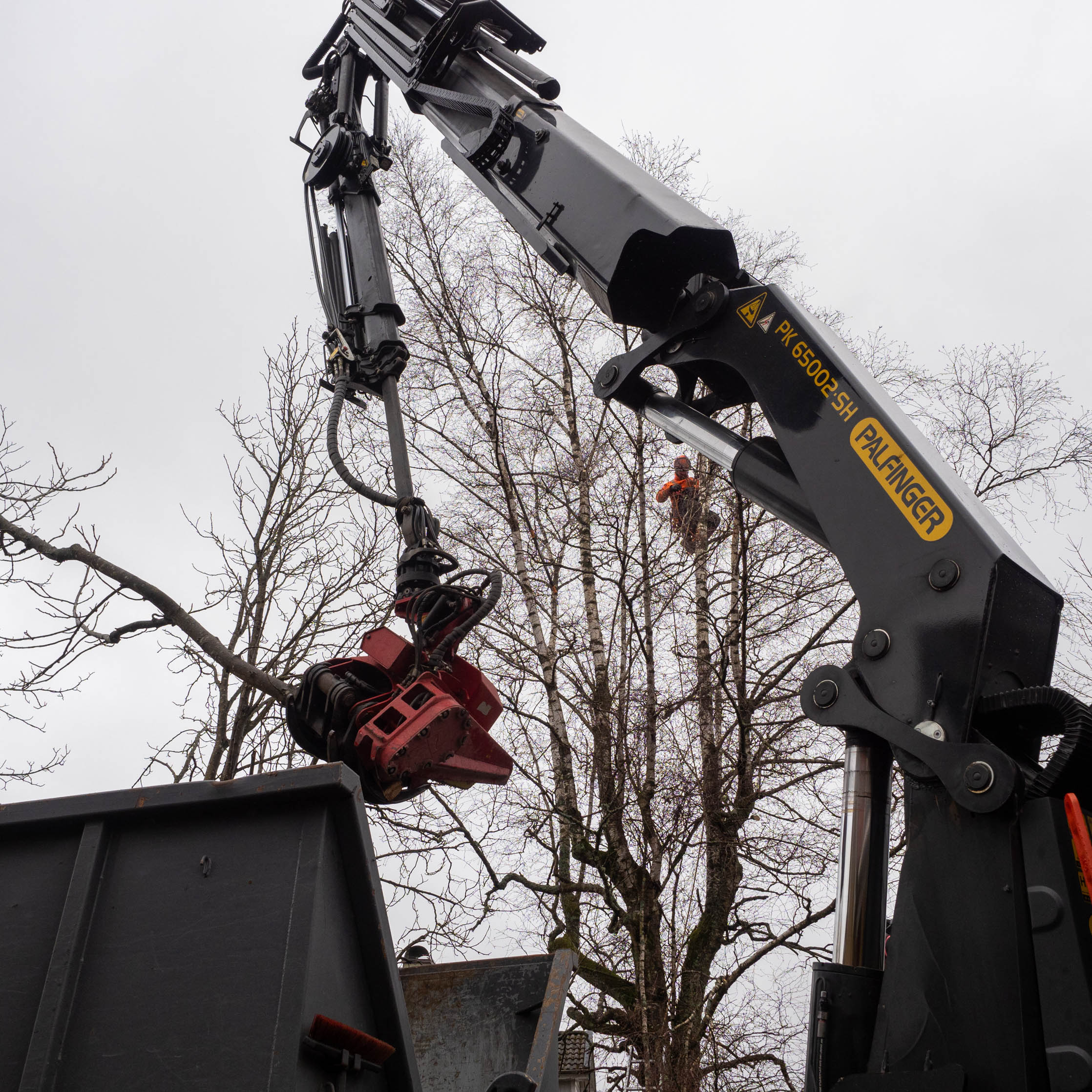 Trädfällning, beskärning, häckklippning, plantering, trädgårdsskötsel med mera • Arborist i Skåne Trädfällning, beskärning, häckklippning, plantering, trädgårdsskötsel med mera • Arborist i Skåne